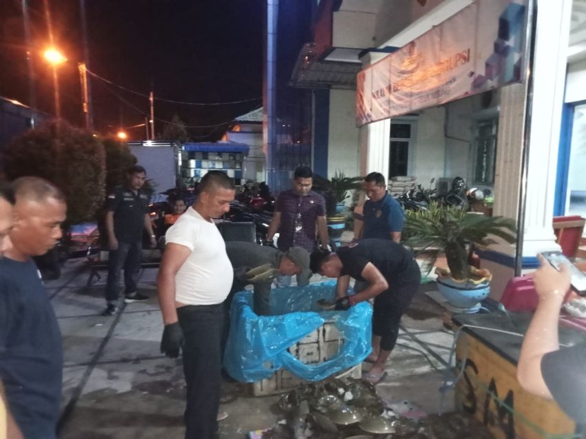 Karantina Tanjungbalai Usut Pemilik Hewan Belangkas Tanpa Dokumen