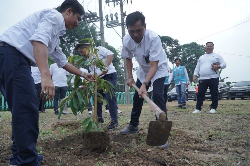 Peringati Harkitnas, PLN UP3 Pematangsiantar Tanam Pohon Produktif