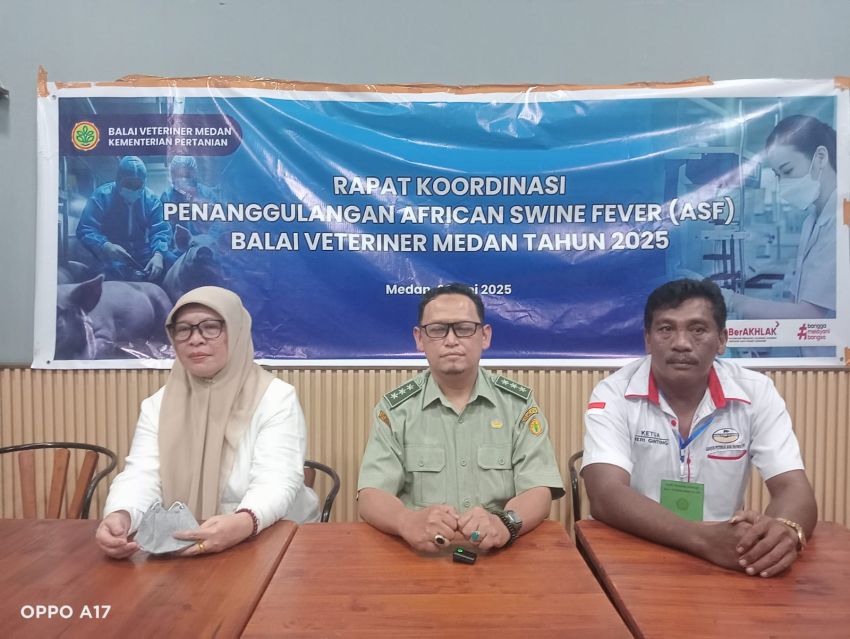 Pemerintah dan GPBI Berkolaborasi Atasi Penyakit Babi, ASF di Sumut