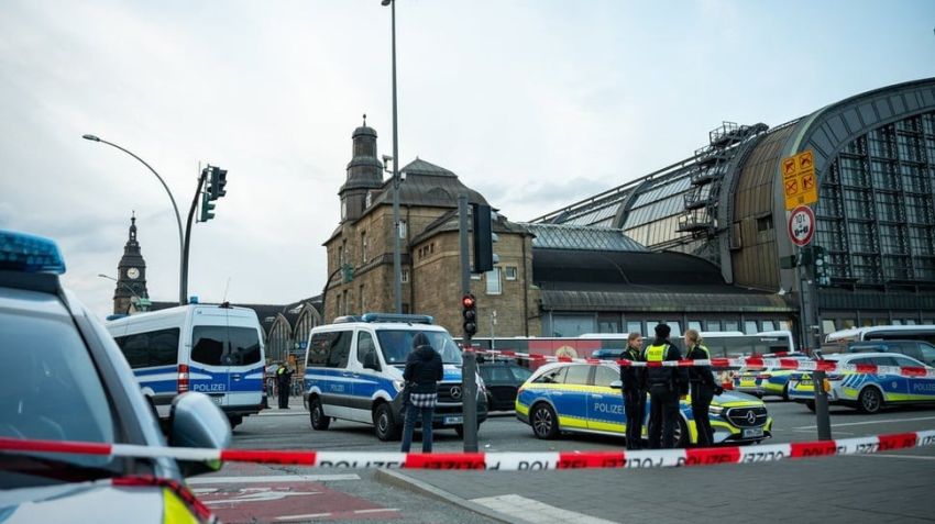 Penikaman di Stasiun Hamburg, 18 Orang Terluka