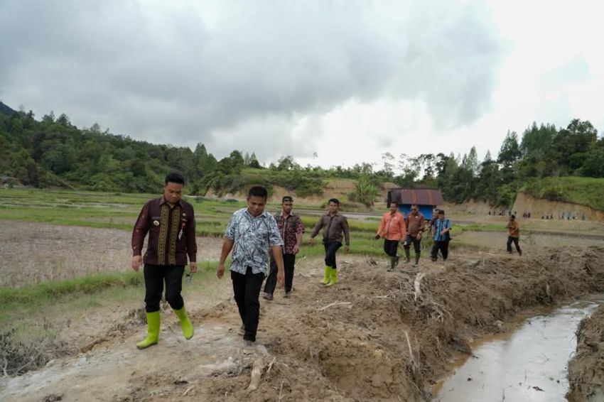 Bupati Humbahas Tinjau Normalisasi Irigasi Persawahan di Parlilitan