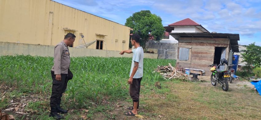 Dukung Ketahanan Pangan, Bhabinkamtibmas Polsek Siantar Selatan Monitor Lahan Warga Binaan