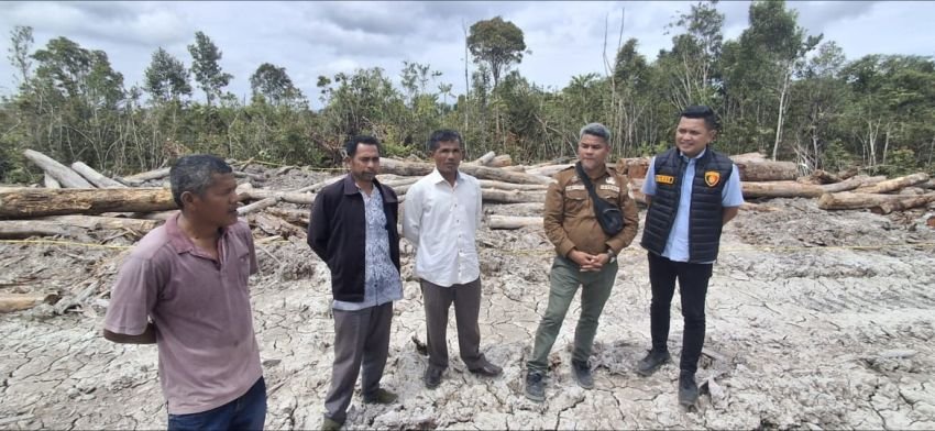 Aktivitas Penebangan Kayu di Desa Parnapa Humbahas Berada di Hutan APL