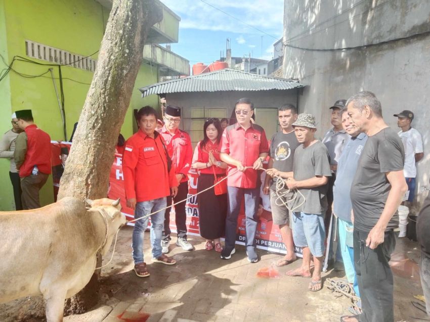 DPC PDI Perjuangan Kota Medan Salurkan 4 Ekor Sapi Kurban