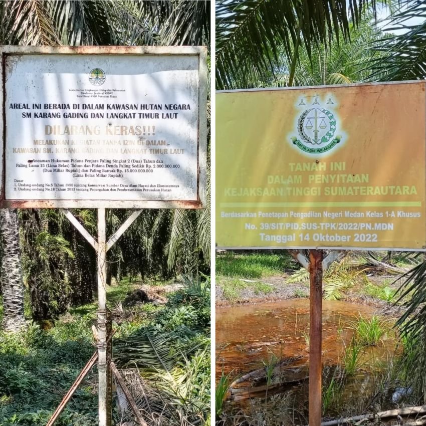 Kebun Sawit di Suaka Margasatwa Karang Gading Masih Dipanen Meski Sudah Disita Negara