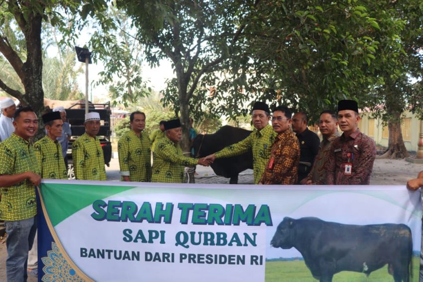 Presiden Prabowo Serahkan Sapi Kurban 800 Kg ke Paluta