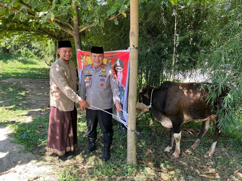 Kapolres Labusel Salurkan Hewan Kurban dari Kapolda Sumut ke Ponpes Ar Rasyid Pinang Awan