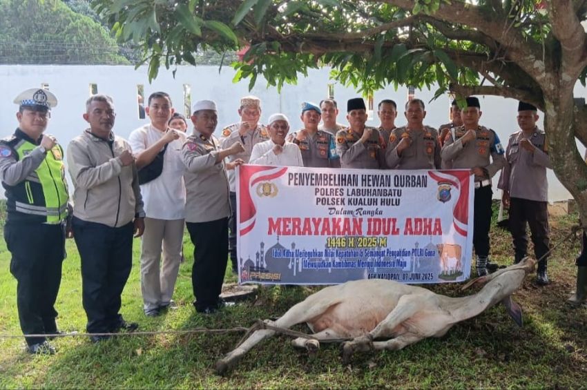 Idul Adha 1446 H, Polsek Kualuh Hulu Sembelih Dua Lembu