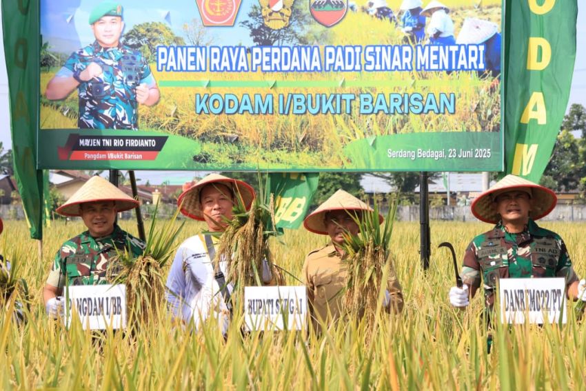 Pangdam I/BB dan Bupati Sergai Panen Perdana Uji Coba Bibit Padi dari Mabes TNI
