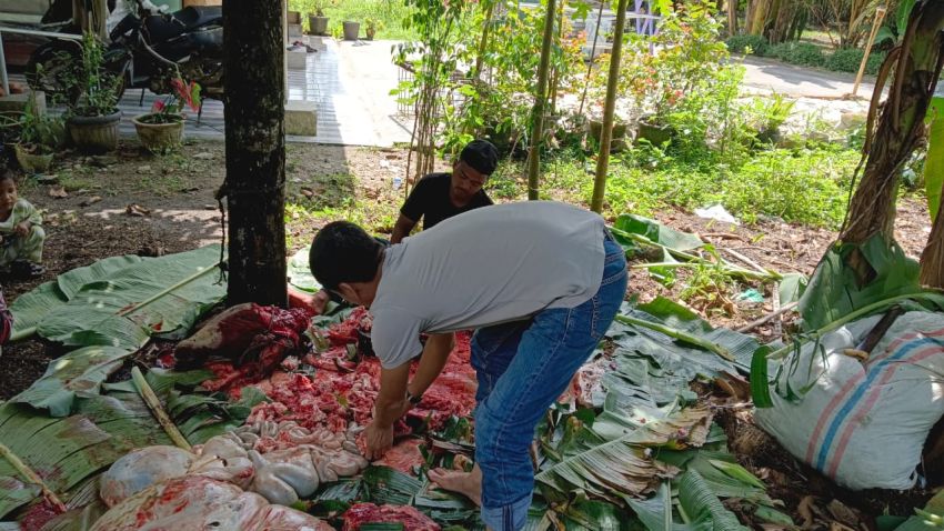 Idul Adha Penuh Berkah, PWI Batubara Sembelih Daging Kurban