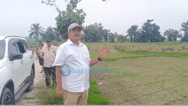 Ratusan Hektar Areal Pertanian di Desa Kelapa Batubara 2,6 Tahun Alami Kekeringan