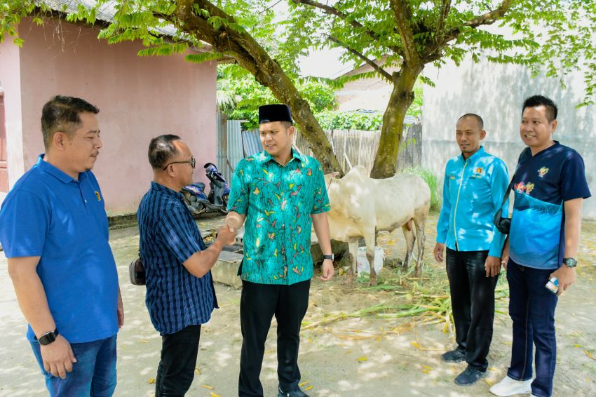 Wabup Adlin Tambunan Serahkan Sapi Kurban ke PWI Sergai