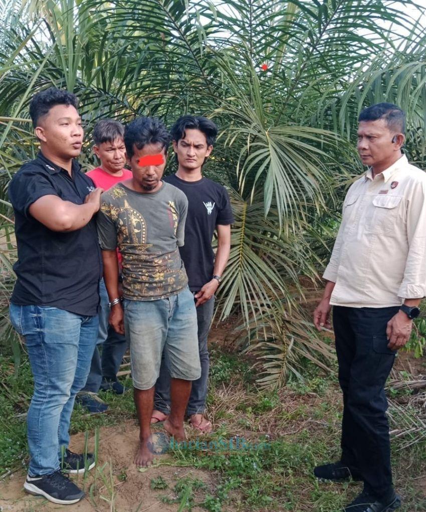 Polres Labusel Tangkap Pembunuh Penjaga Kebun di Silangkitang