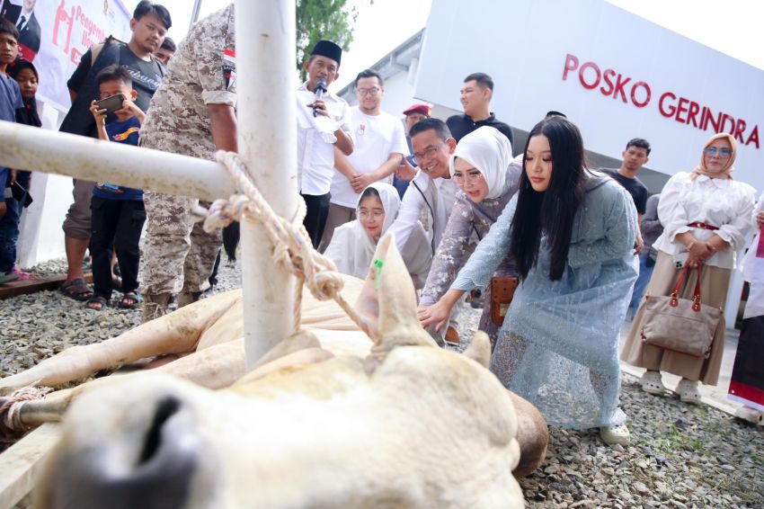 Wakil Wali Kota Medan Serahkan 4 Hewan Kurban