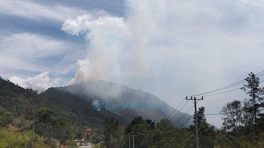 Luasan Karhutla di Toba Semakin Luas, Kawasan Hutan Dolok Tolong Ikut Terbakar