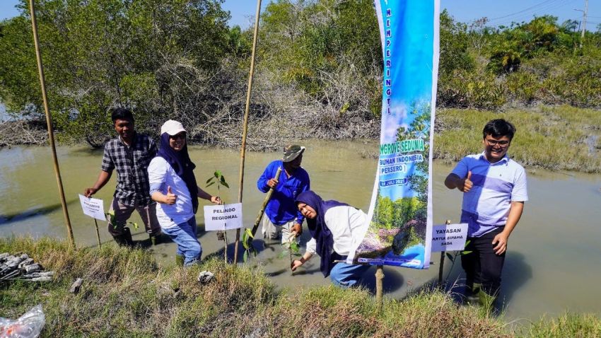 Hari Mangrove Sedunia 2025, Pelindo Tanam Mangrove di Batubara