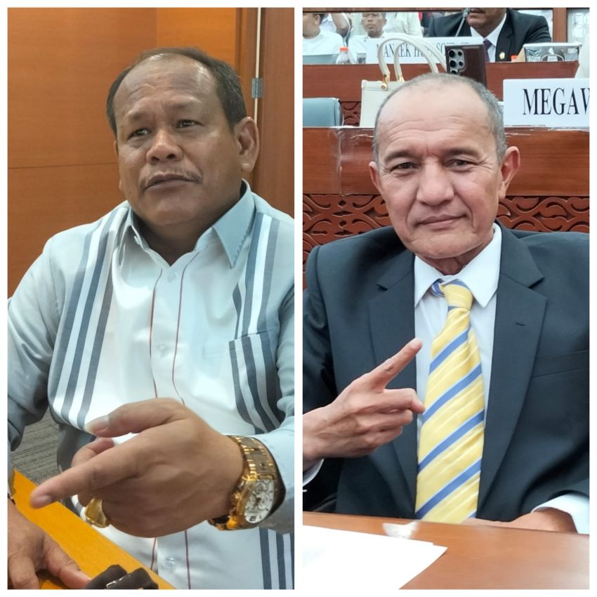 DPRD SU Desak Dinas LHK dan 7 Bupati Kawasan Danau Toba Awasi Ketat Pembukaan Lahan Penyebab Karhutla