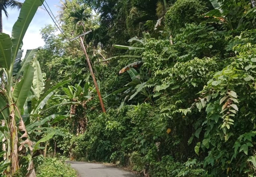 Ancam Keselamatan, Tiang Listrik Miring di Nias Tak Kunjung Diperbaiki