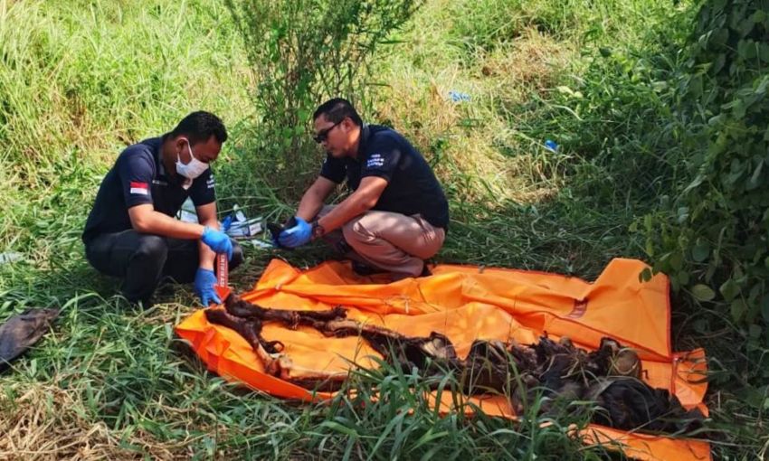 Kerangka Mayat Mr X Ditemukan di Pantailabu