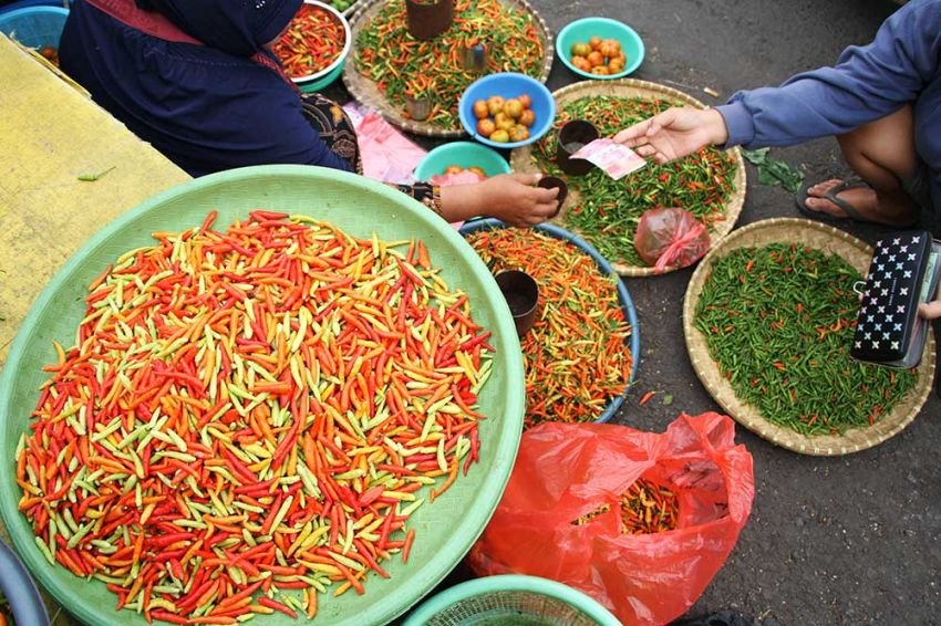 Harga Cabai, Bawang, Beras dan Ikan Turun di Sumut