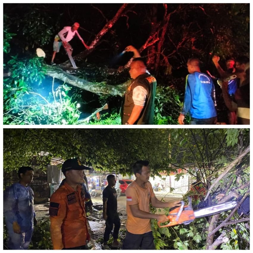 Hujan Deras Disertai Angin Kencang Terjang Kota Binjai, Puluhan Pohon Tumbang, Rumah dan Sekolah Rusak