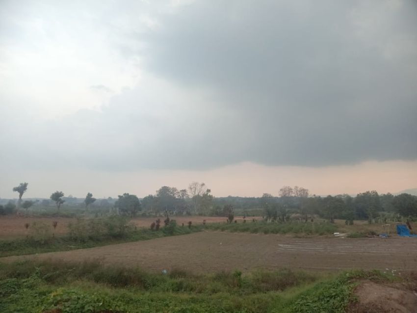 Petani Silimakuta Minta Pemerintah Perketat Pengawasan Distribusi Pestisida