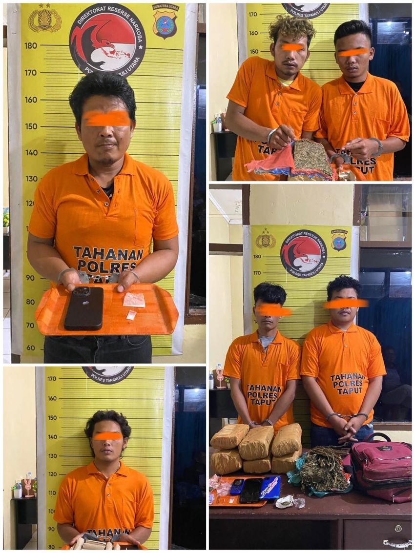 Polres Taput Tangkap 6 Orang Pelaku Penyalahgunaan Narkotika