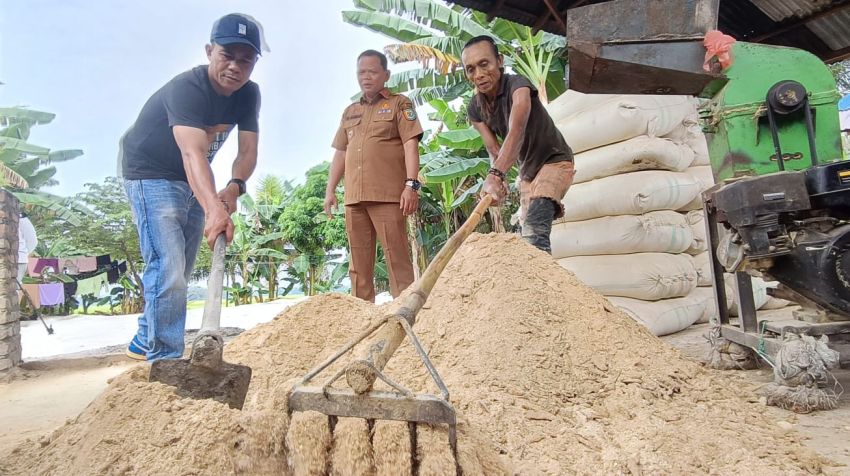 Warga Nagakisar Sergai Olah Produk Sisa Ikan Tilapia RSI Jadi Pakan Ternak Berkualitas