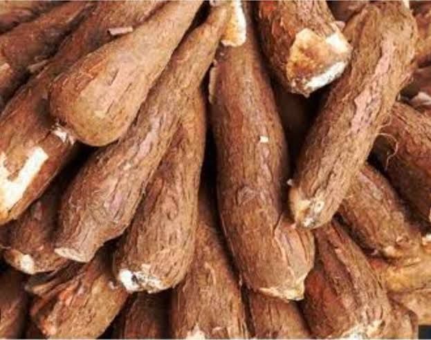 Ubi Kayu Makin Diminati Warga Medan, Produksi Sumut Capai 792 Ribu Ton