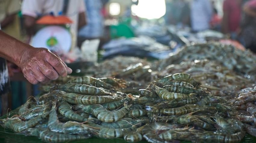 BMS Foods Buka Suara soal Udang yang Terpapar Cesium