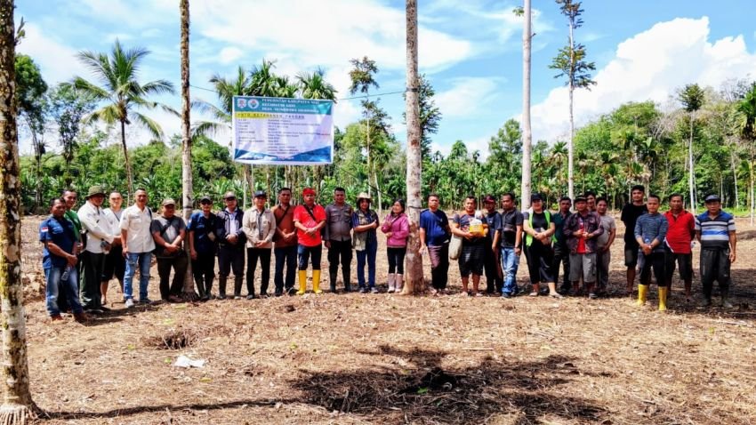 Pemdes OLindrawa Sisarahili Sambut Baik Penanaman Jagung dan Padi Oleh TPK Ketahanan Pangan