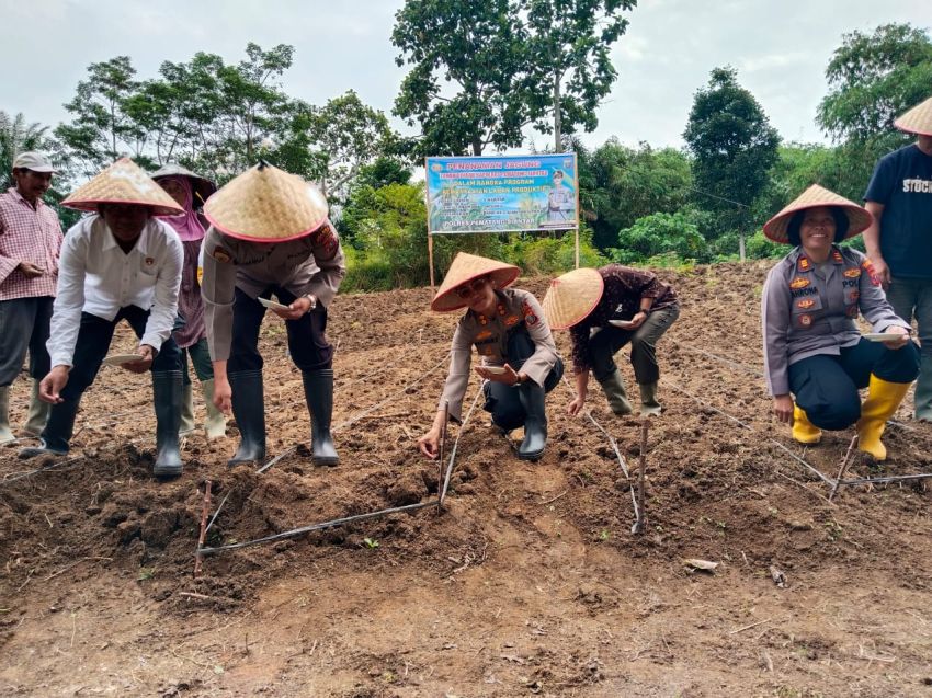 Dukung Ketahanan Pangan, Polres Pematangsiantar Tanam Jagung di Lahan Binaan