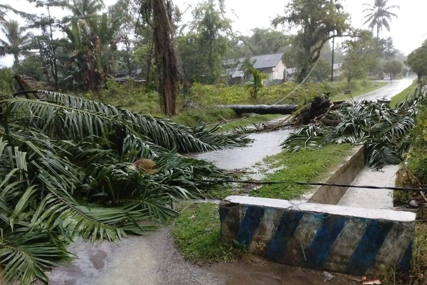 Angin Kencang Rusak Mesjid, Rumah dan Kandang di Bangunpurba, 3 Sapi Mati