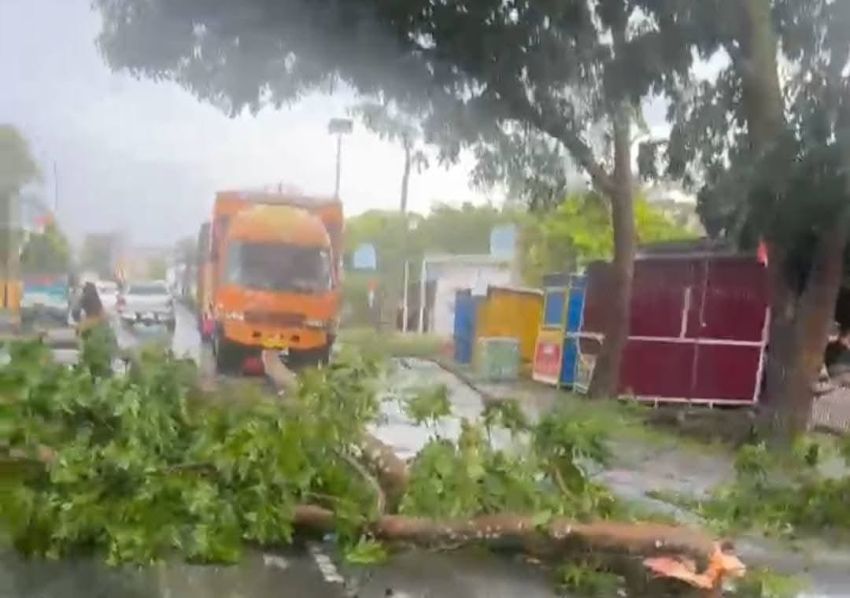 Hujan Deras dan Angin Kencang di Aek Kota Batu Labura