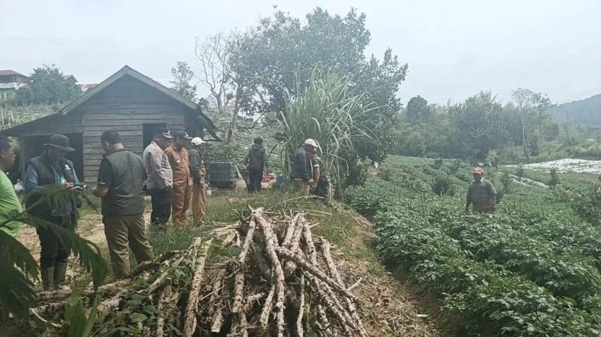 Harimau Tersorot Lampu Sepeda Motor, Polisi Imbau Warga Tidak Beraktifitas Malam Hari