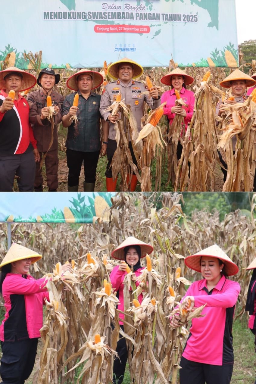 Polres Tanjungbalai Ikut Panen Raya Jagung Serentak Dukung Ketahanan Pangan