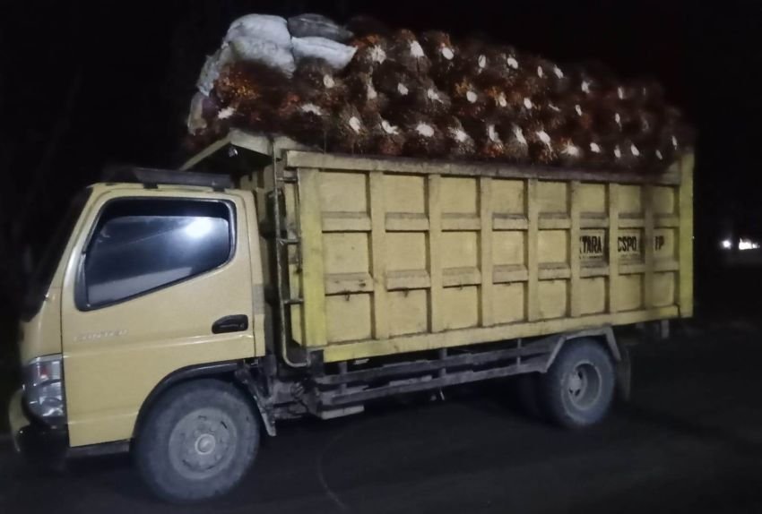 Pelajar Tewas Terlindas Truk Sawit di Pagarmerbau