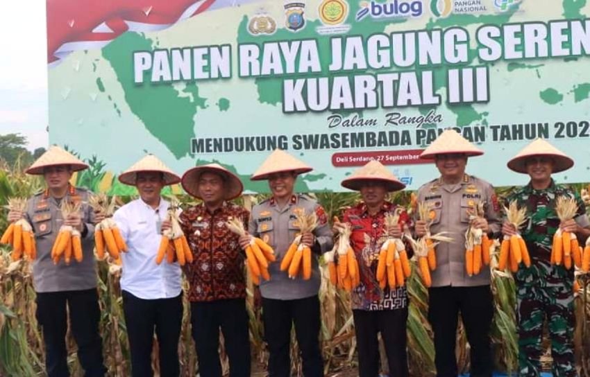 Dukung Ketahanan Pangan, Polresta Deliserdang Panen Jagung 50 Ton Kuartal III
