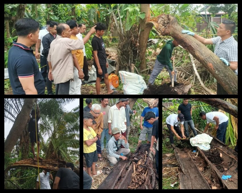 Identitas Tulang Belulang Manusia di Pohon Aren Lapuk di Sergai Masih Misterius