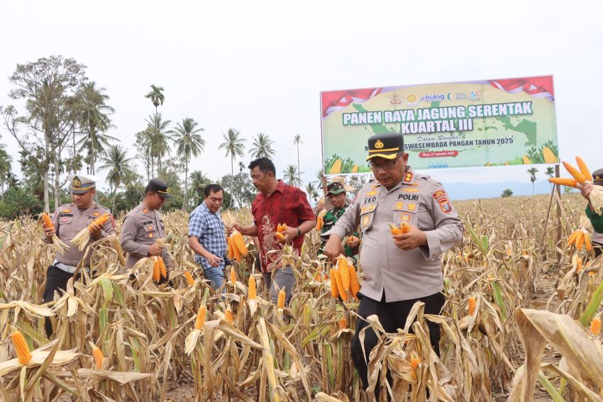 Polres Tanah Karo Gelar Panen Raya Serentak Kuartal III di Desa Singgamanik