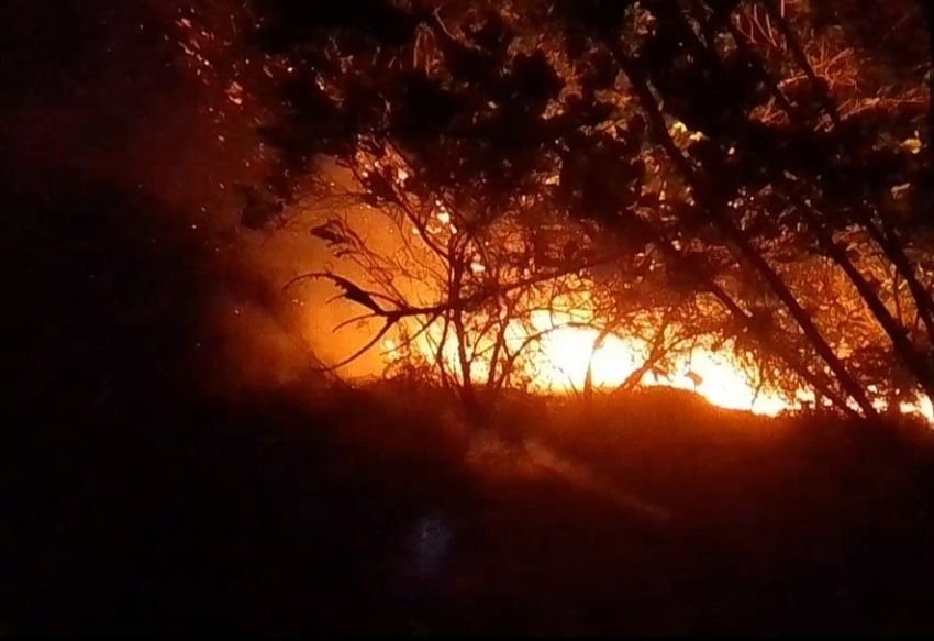 Bukit Sarudik Terbakar, BPBD Warning Stop Bakar Lahan!