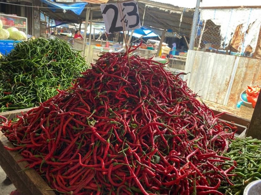 Ironi Harga Cabai: Di Karo Sentra Cabai Terbesar di Sumut Rp100 Ribu, di Medan Lebih Murah