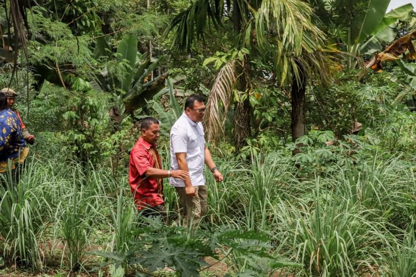 Bupati Canangkan Sibolangit Jadi Sentra Cabai dan Wisata
