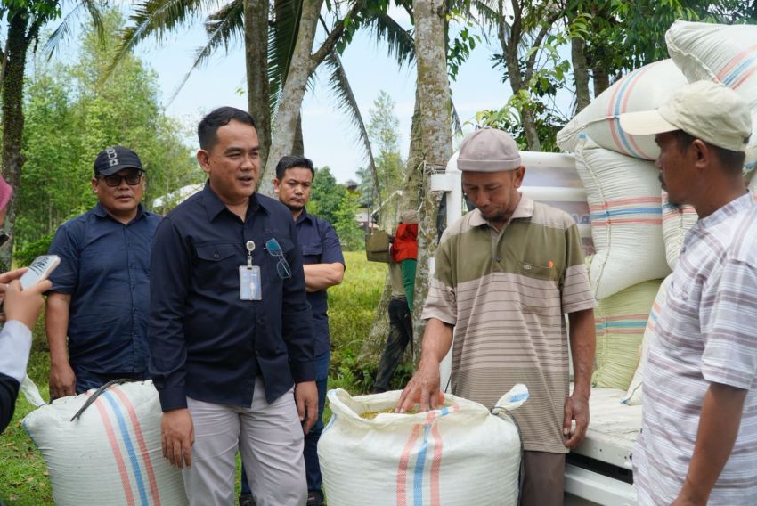 Bulog Sumut Serap 3 Ton Gabah Petani Langkat