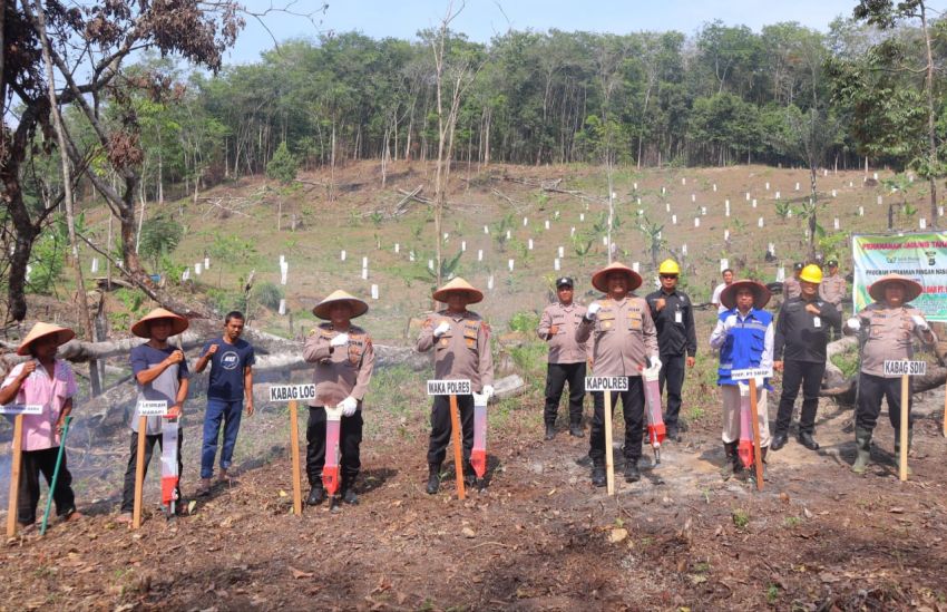 Kuartal III, Polres Madina Kembali Gelar Tanam Jagung 3 Hektare