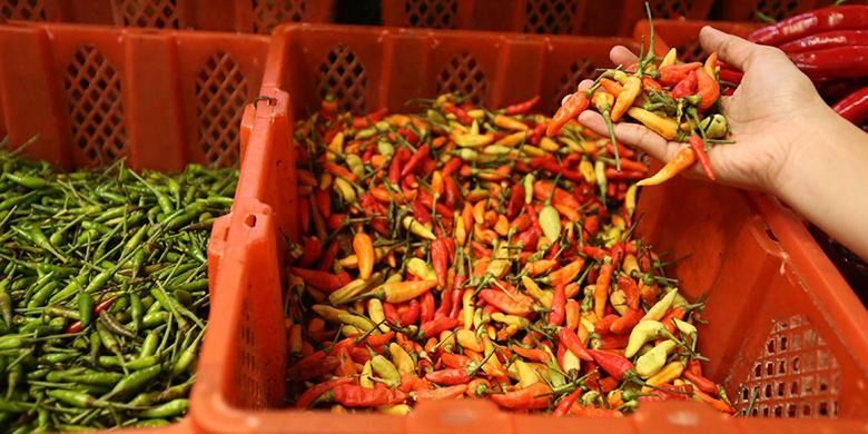 Harga Cabai Naik Lagi, Alarm Bahaya untuk Daya Beli