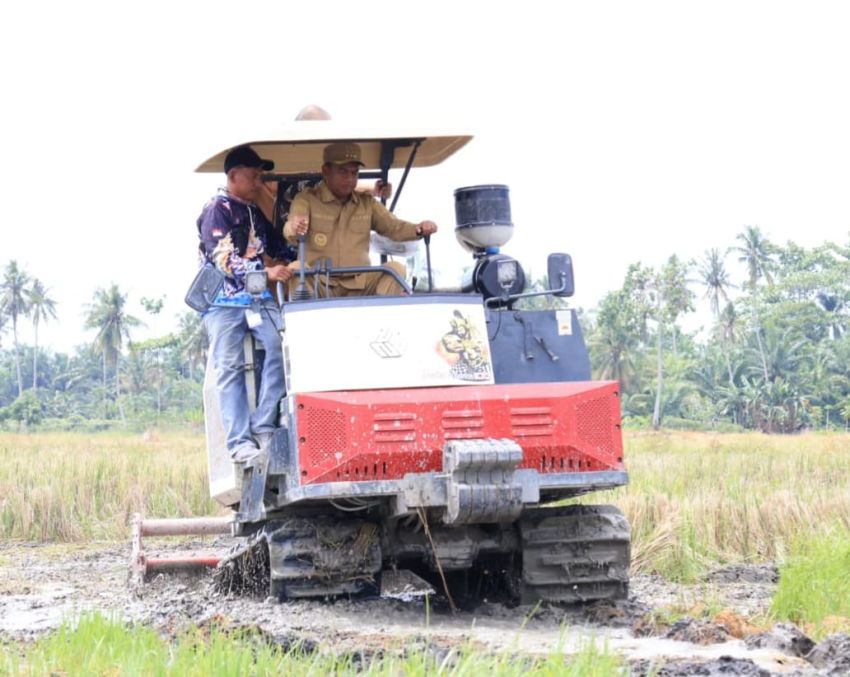 Pemkab Sergai Optimasi Lahan Rawa Lewat Gerakan Olah Lahan Serentak untuk Tingkatkan Produktivitas