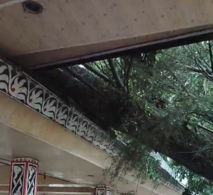 Hujan Angin Terjang Siantar, Pohon Tumbang dan Listrik Padam