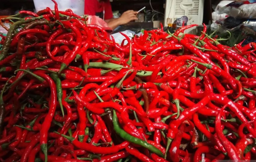 Selisih Harga Cabai di Jambi dan Sumut Terlalu Lebar, Tren Kenaikan di Sumut Bisa Terhenti
