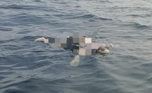 Nelayan Hanyut di Sialangbuah Sergai Akhirnya Ditemukan di Perairan Asahan